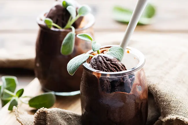 Chocolate yogurt for kids and gut health